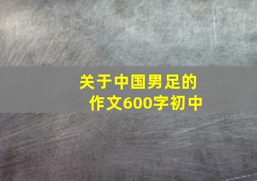 关于中国男足的作文600字初中