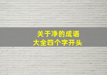 关于净的成语大全四个字开头