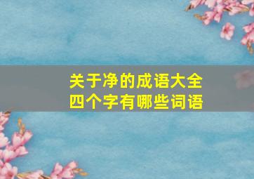 关于净的成语大全四个字有哪些词语