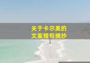 关于卡尔美的文案短句摘抄