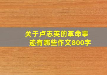 关于卢志英的革命事迹有哪些作文800字