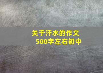 关于汗水的作文500字左右初中