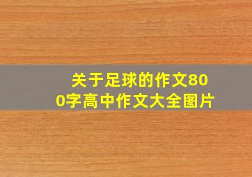 关于足球的作文800字高中作文大全图片