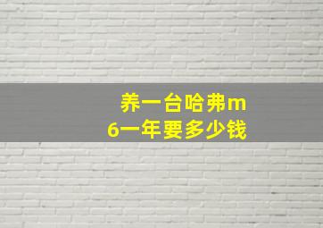 养一台哈弗m6一年要多少钱