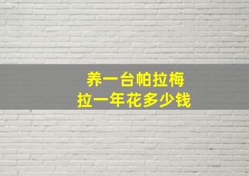 养一台帕拉梅拉一年花多少钱