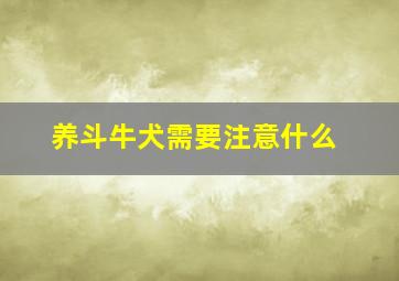 养斗牛犬需要注意什么