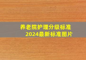 养老院护理分级标准2024最新标准图片