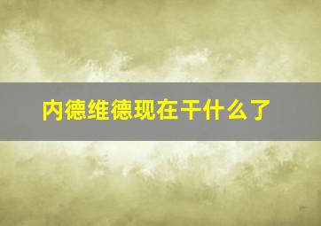 内德维德现在干什么了