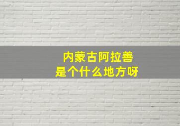 内蒙古阿拉善是个什么地方呀