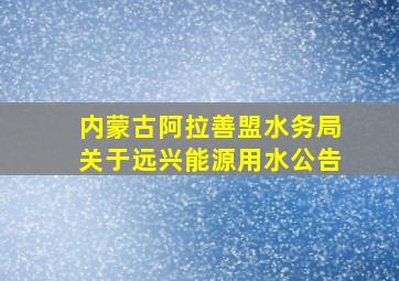 内蒙古阿拉善盟水务局关于远兴能源用水公告