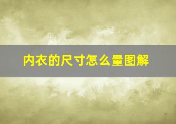 内衣的尺寸怎么量图解