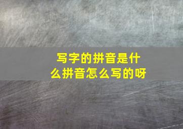 写字的拼音是什么拼音怎么写的呀