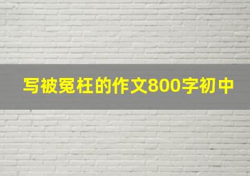 写被冤枉的作文800字初中