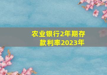 农业银行2年期存款利率2023年