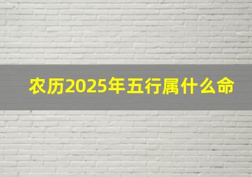 农历2025年五行属什么命