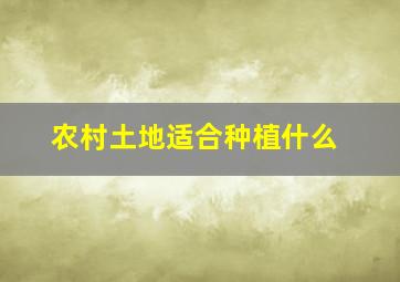 农村土地适合种植什么