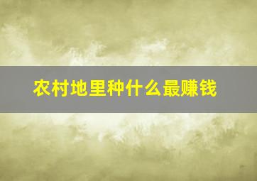 农村地里种什么最赚钱