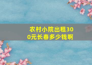 农村小院出租300元长春多少钱啊