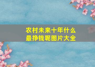 农村未来十年什么最挣钱呢图片大全