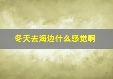 冬天去海边什么感觉啊