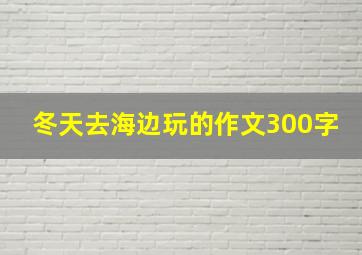 冬天去海边玩的作文300字