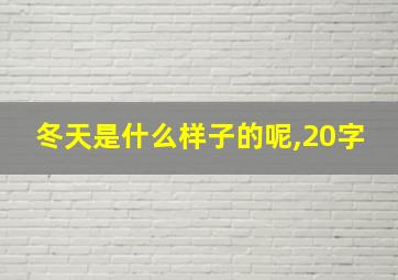 冬天是什么样子的呢,20字