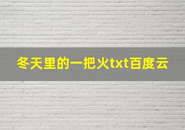 冬天里的一把火txt百度云