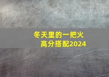 冬天里的一把火高分搭配2024