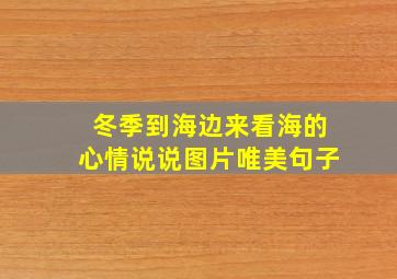 冬季到海边来看海的心情说说图片唯美句子