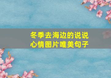 冬季去海边的说说心情图片唯美句子