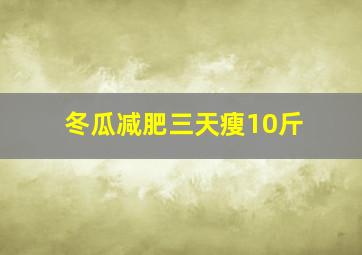 冬瓜减肥三天瘦10斤