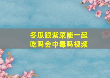 冬瓜跟紫菜能一起吃吗会中毒吗视频