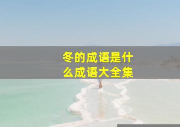 冬的成语是什么成语大全集