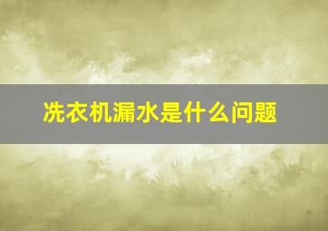 冼衣机漏水是什么问题