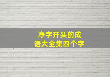 净字开头的成语大全集四个字