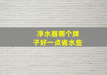 净水器哪个牌子好一点省水些