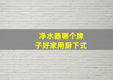 净水器哪个牌子好家用厨下式