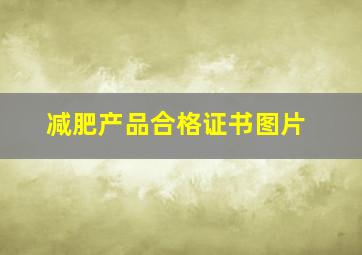 减肥产品合格证书图片