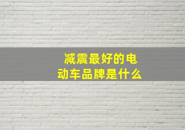 减震最好的电动车品牌是什么