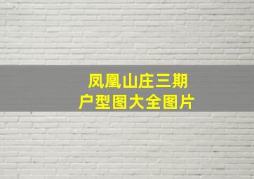 凤凰山庄三期户型图大全图片