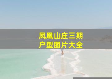 凤凰山庄三期户型图片大全