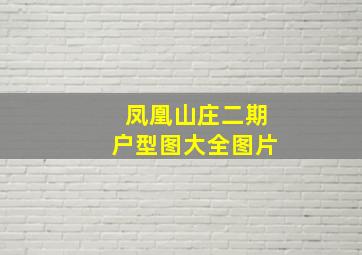 凤凰山庄二期户型图大全图片