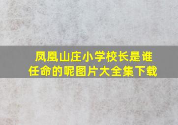 凤凰山庄小学校长是谁任命的呢图片大全集下载