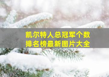 凯尔特人总冠军个数排名榜最新图片大全