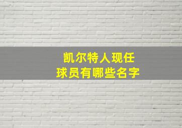 凯尔特人现任球员有哪些名字