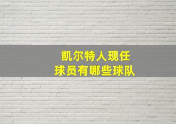 凯尔特人现任球员有哪些球队