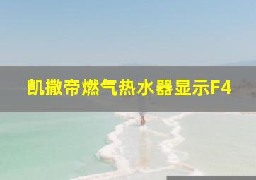 凯撒帝燃气热水器显示F4