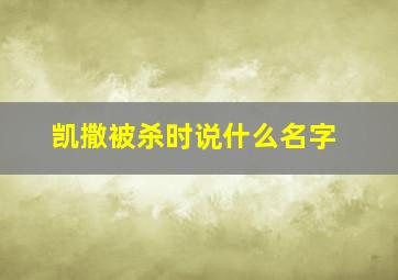 凯撒被杀时说什么名字