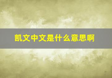 凯文中文是什么意思啊