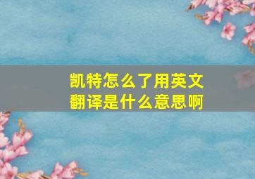 凯特怎么了用英文翻译是什么意思啊